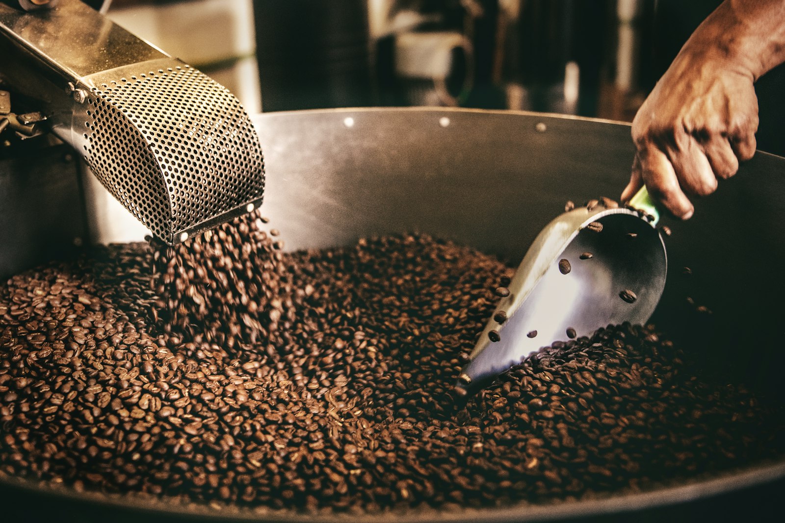 Eine Person rührt frisch geröstete Kaffeebohnen in der Rösterei um