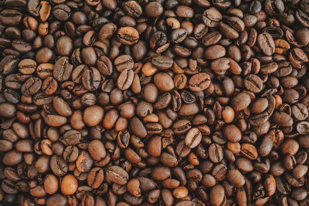 Frische Kaffeebohnen auf einem Holztisch